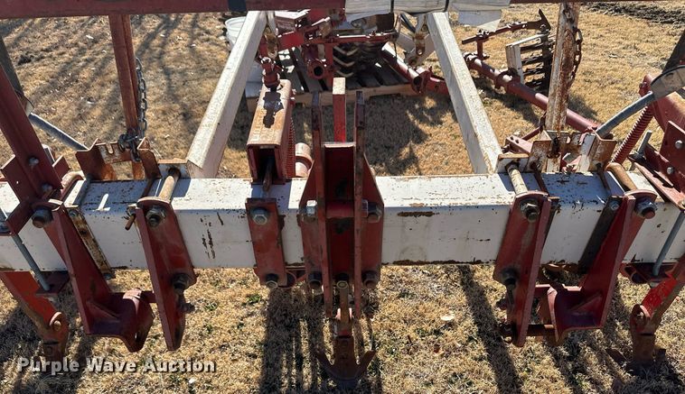 image for item EK9871 Lilliston-Lehman  row crop cultivator