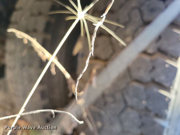 image for item DL7766 2009 Freightliner B2  school bus