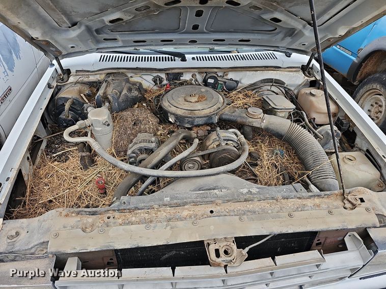 image for item DR5947 1987 Chevy S10  pickup truck