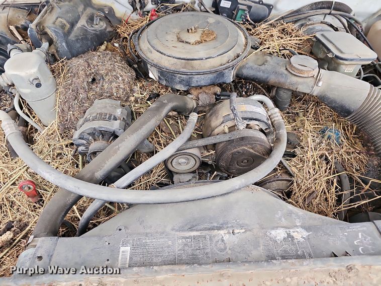 image for item DR5947 1987 Chevy S10  pickup truck