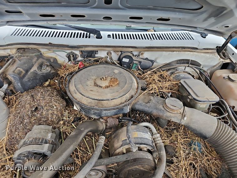 image for item DR5947 1987 Chevy S10  pickup truck