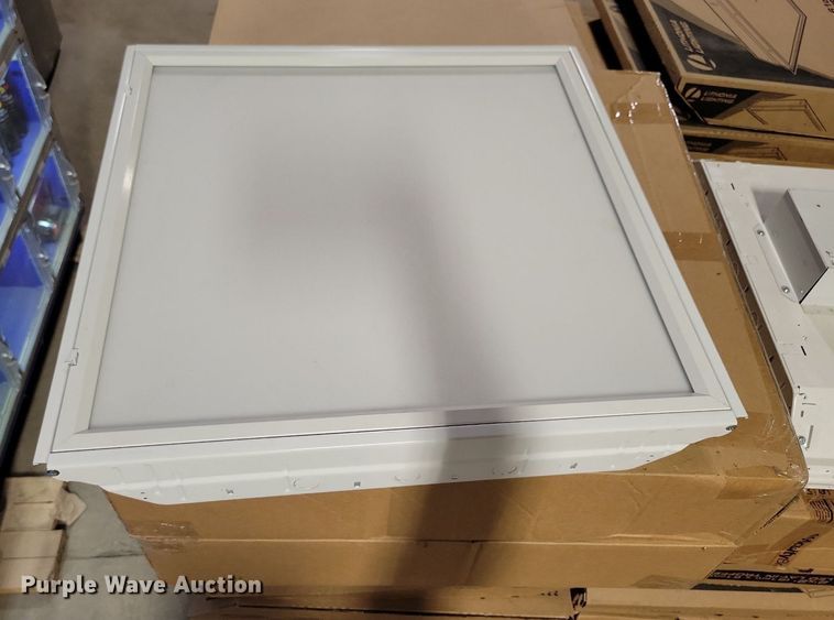 image for item LC9800 Approximately 43 Lithonia Lighting Toffer lights