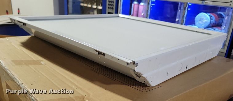 image for item LC9800 Approximately 43 Lithonia Lighting Toffer lights