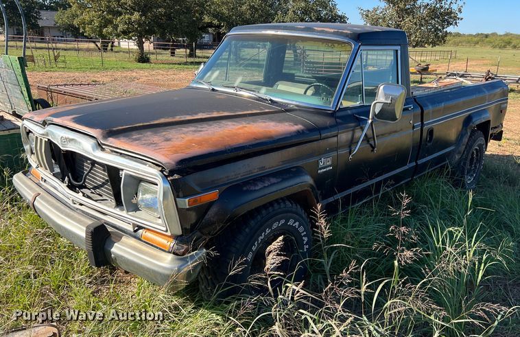 image for item LV9161 1981 Jeep J10 pickup truck