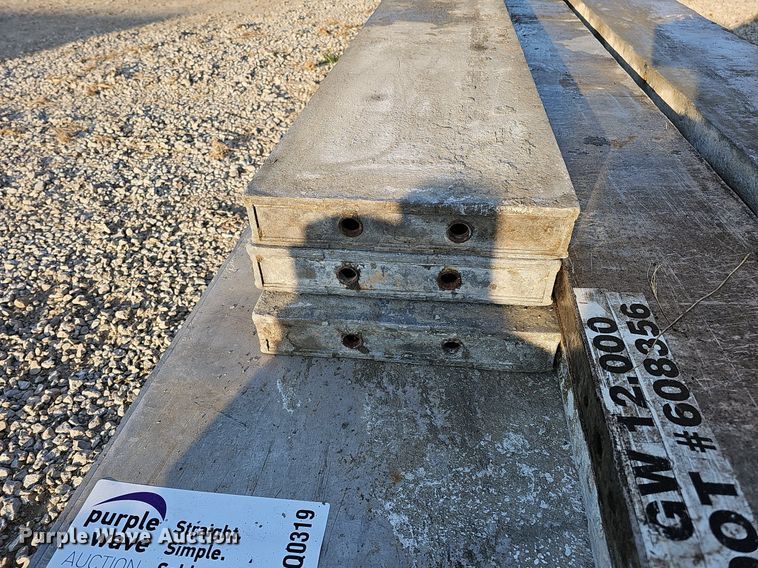 image for item DQ0319 Approximately 9 Western Forms and Wall Ties concrete forms