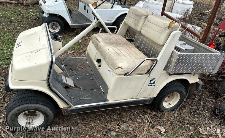 image for item NU9312 (2) golf carts