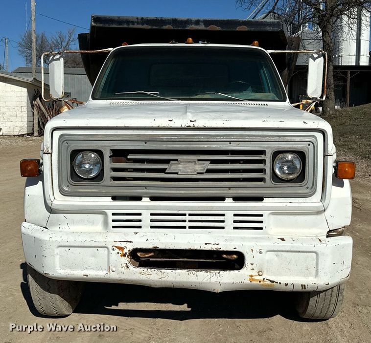 image for item NF9305 1978 Chevrolet  C60 dump truck