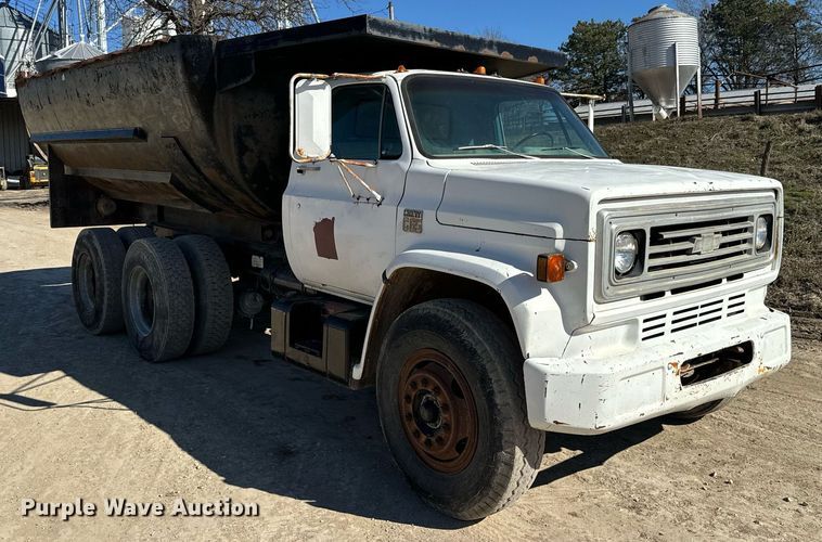 image for item NF9305 1978 Chevrolet  C60 dump truck