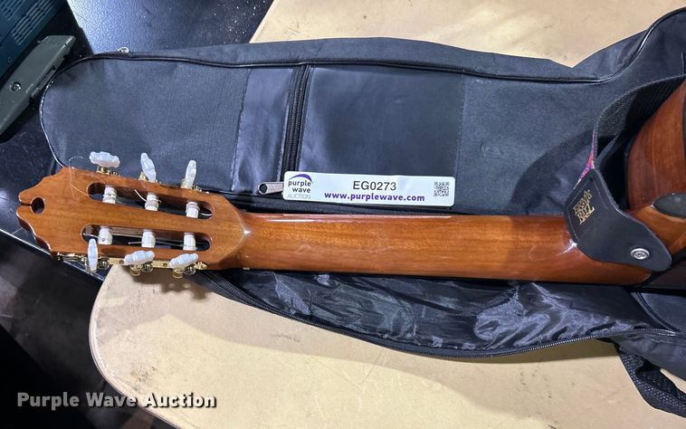 image for item EG0273 Washburn electric guitar