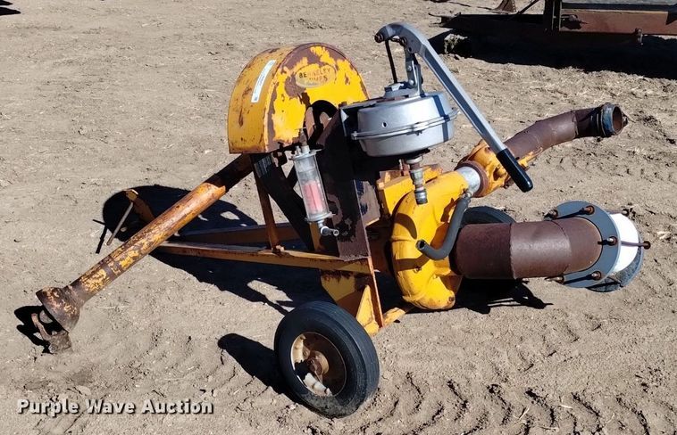 image for item LN9947 Berkeley  pump