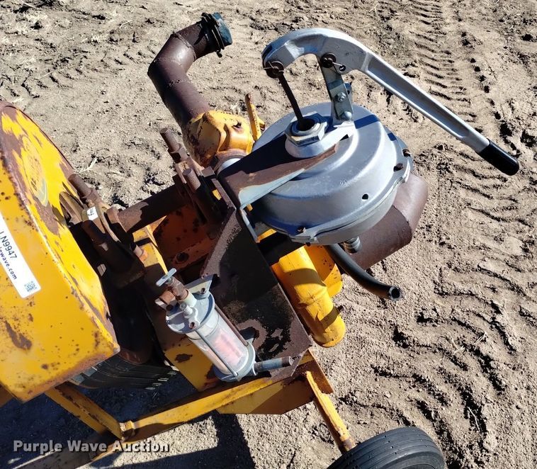 image for item LN9947 Berkeley  pump