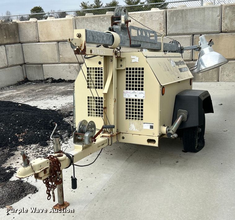 image for item EK4207 (2) light plants