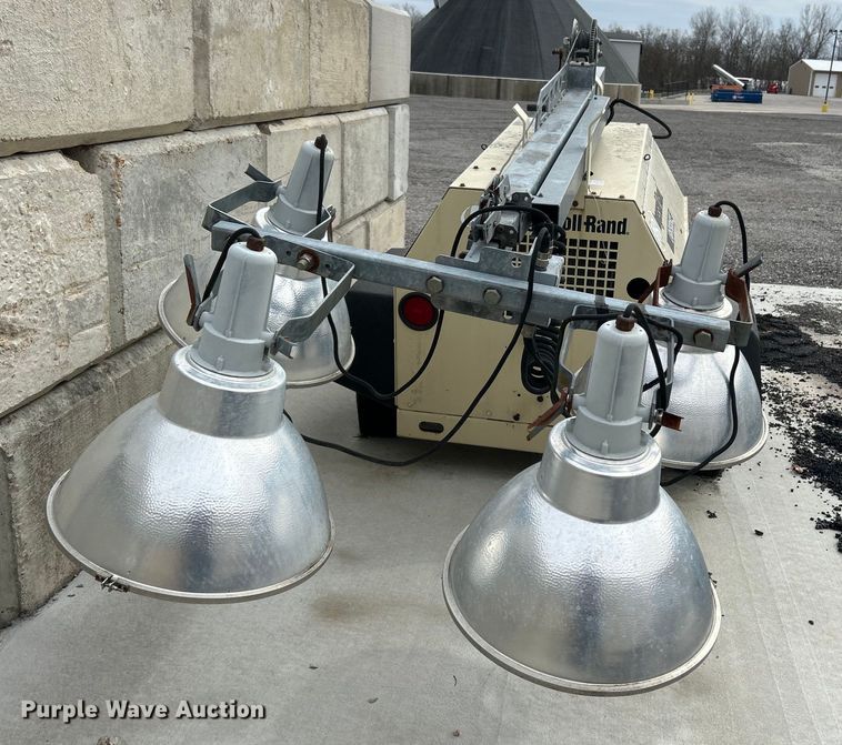 image for item EK4207 (2) light plants