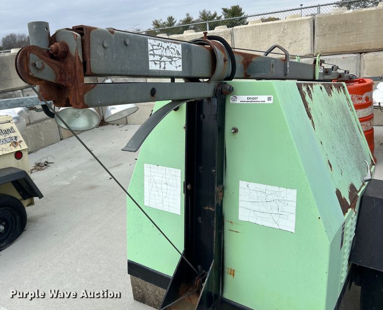 image for item EK4207 (2) light plants