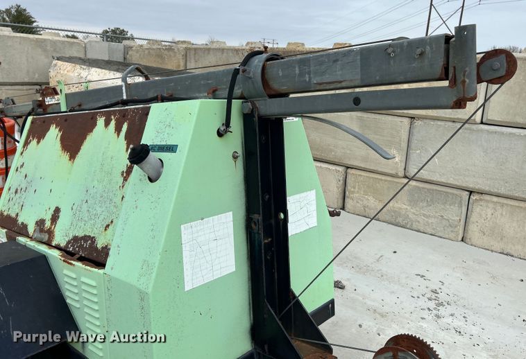 image for item EK4207 (2) light plants