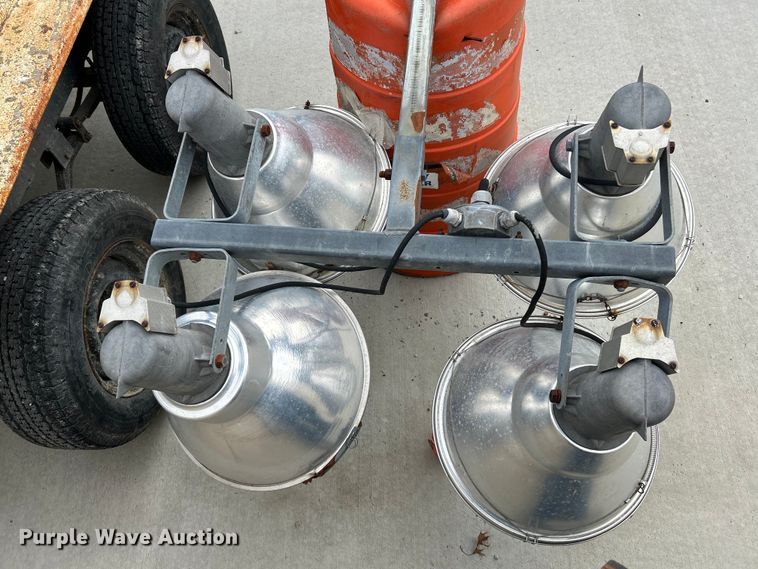 image for item EK4207 (2) light plants