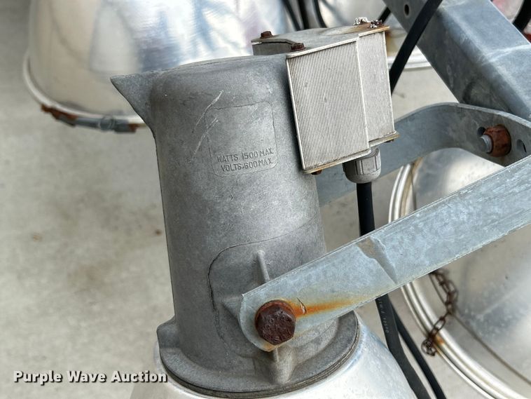 image for item EK4207 (2) light plants