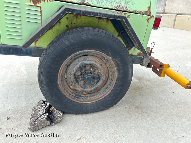 image for item EK4207 (2) light plants