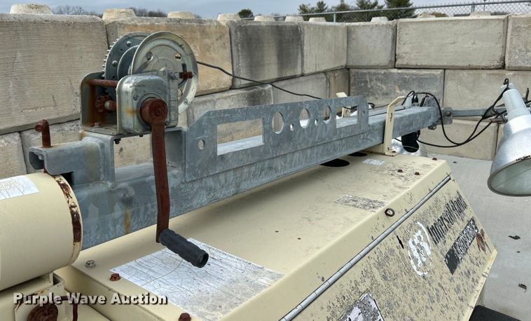 image for item EK4207 (2) light plants