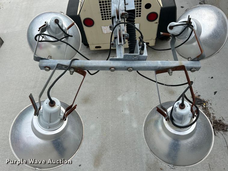 image for item EK4207 (2) light plants