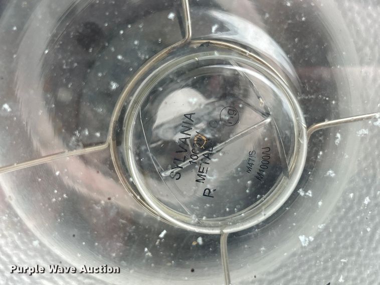 image for item EK4207 (2) light plants