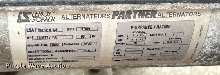 image for item EK4207 (2) light plants