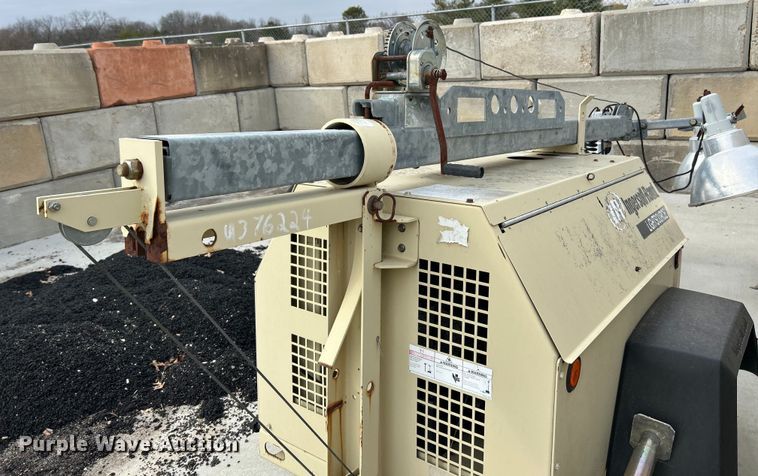 image for item EK4207 (2) light plants