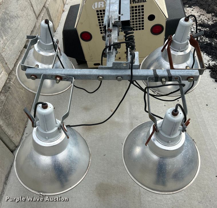 image for item EK4207 (2) light plants