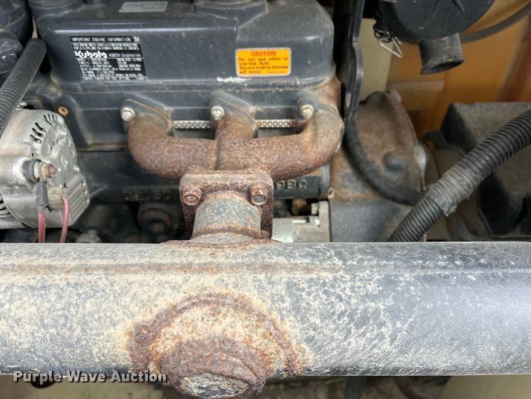 image for item EK4207 (2) light plants