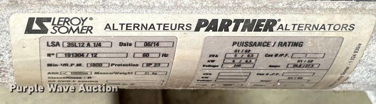 image for item EK4207 (2) light plants