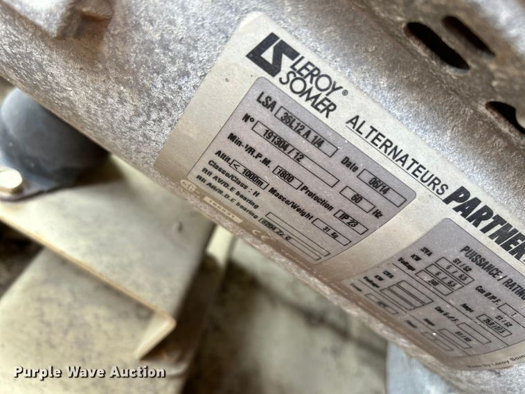 image for item EK4207 (2) light plants