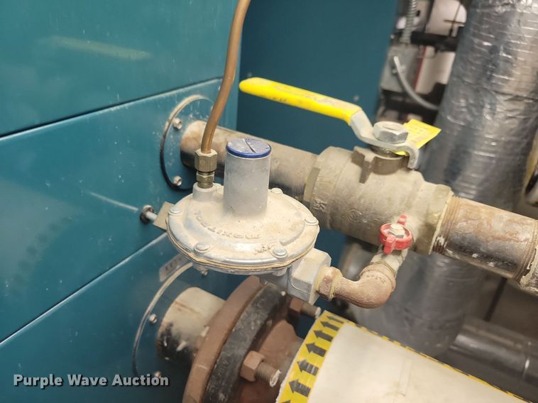 image for item IQ9909 2007 Thermal Solutions Evolution boiler