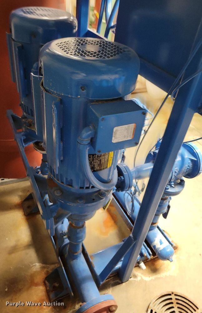 image for item IQ9911 2008 Canariis Corp DS-240-65-2VS pump