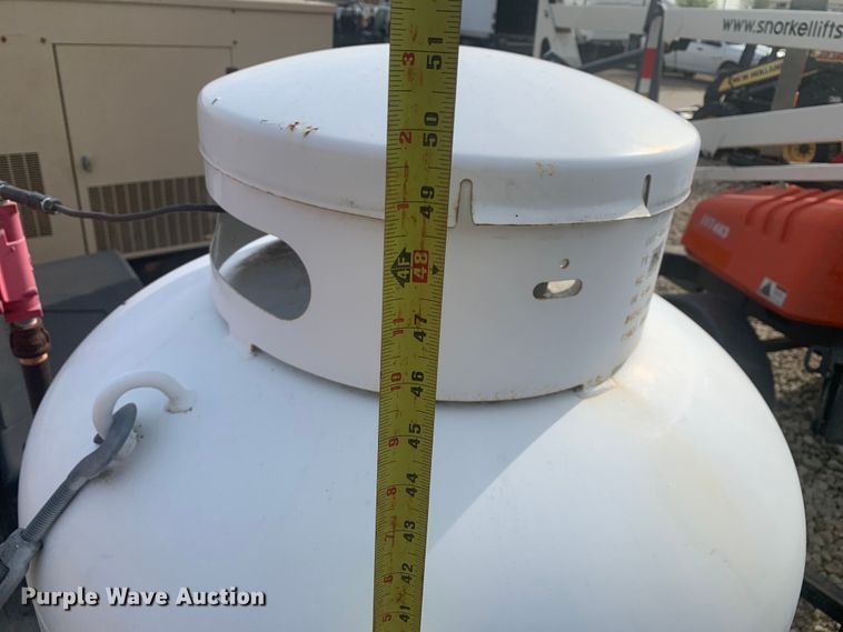 image for item DS2478 Generac 95A02298-8 generator