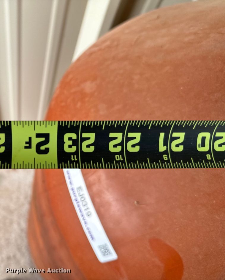 image for item EJ0319 (4) pipeline pigs