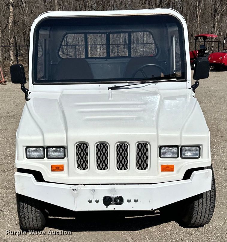 image for item LO9534 2009 E-Ride Industries  utility vehicle