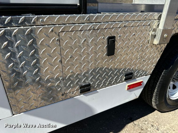 image for item LO9534 2009 E-Ride Industries  utility vehicle