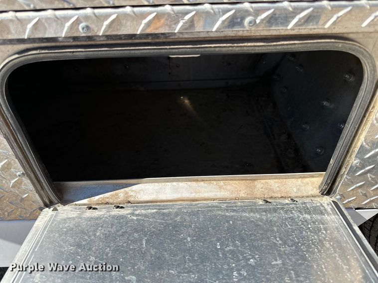 image for item LO9534 2009 E-Ride Industries  utility vehicle