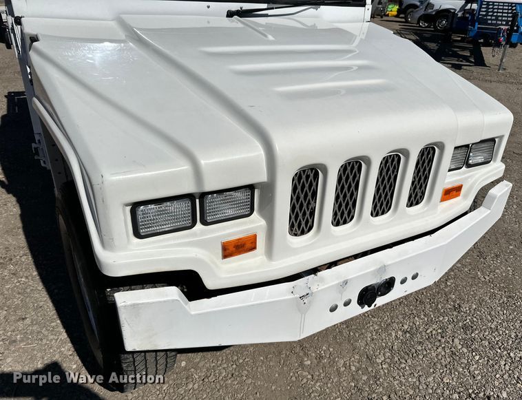 image for item LO9534 2009 E-Ride Industries  utility vehicle