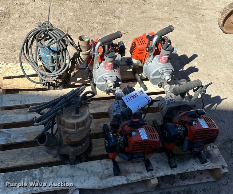 image for item DQ0717 (6) Pumps