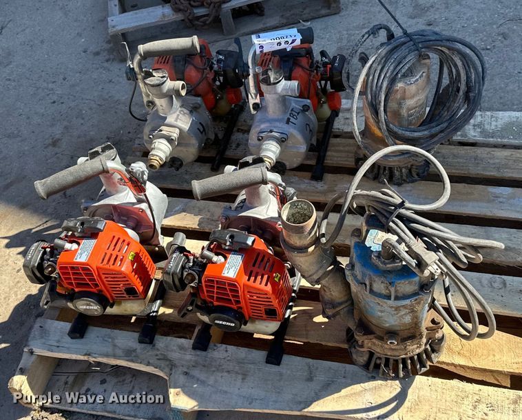 image for item DQ0717 (6) Pumps