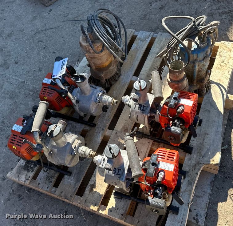 image for item DQ0717 (6) Pumps