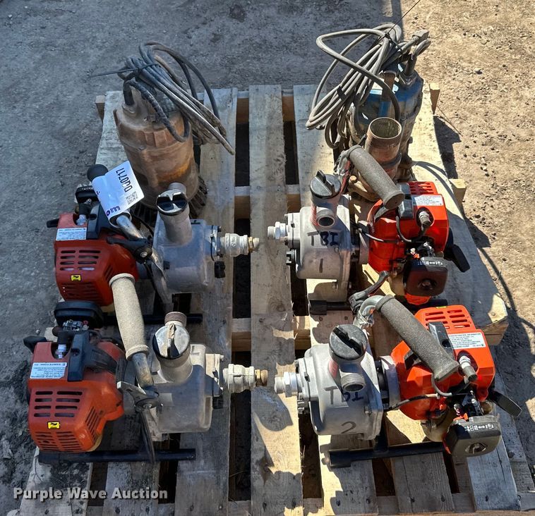 image for item DQ0717 (6) Pumps