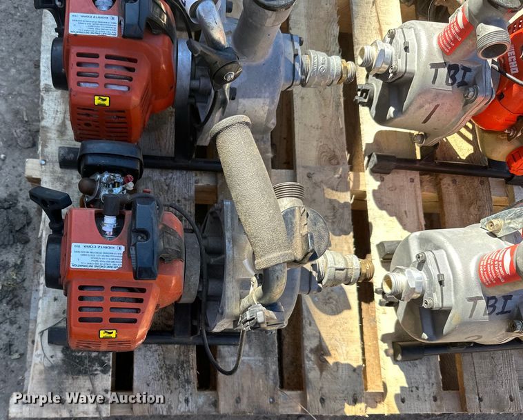 image for item DQ0717 (6) Pumps