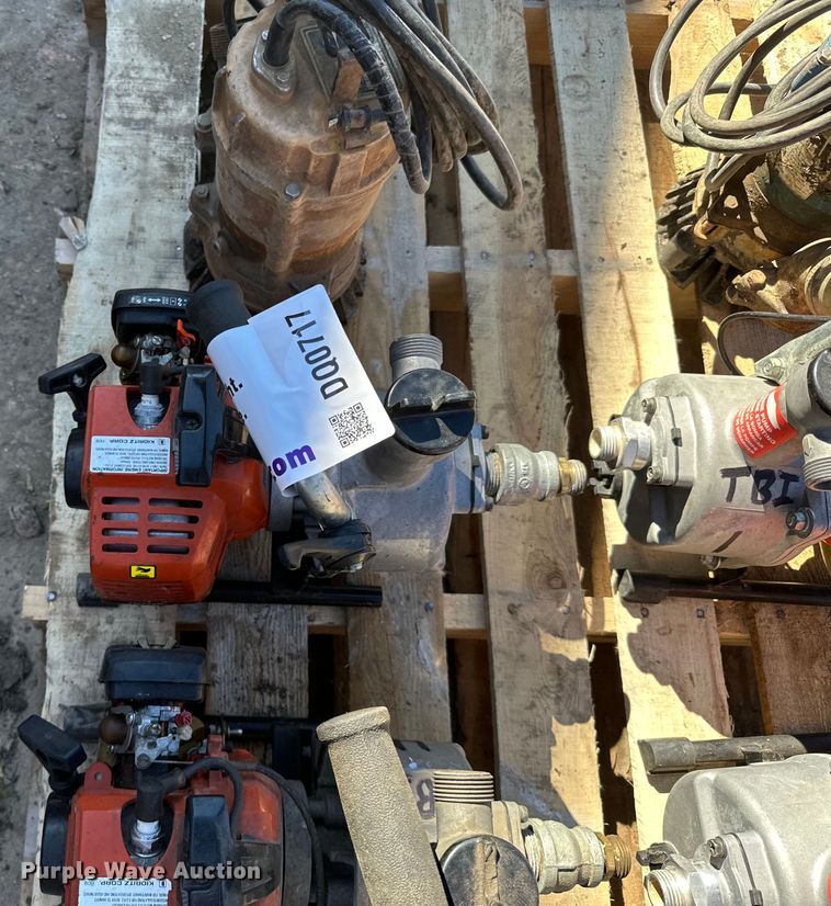 image for item DQ0717 (6) Pumps