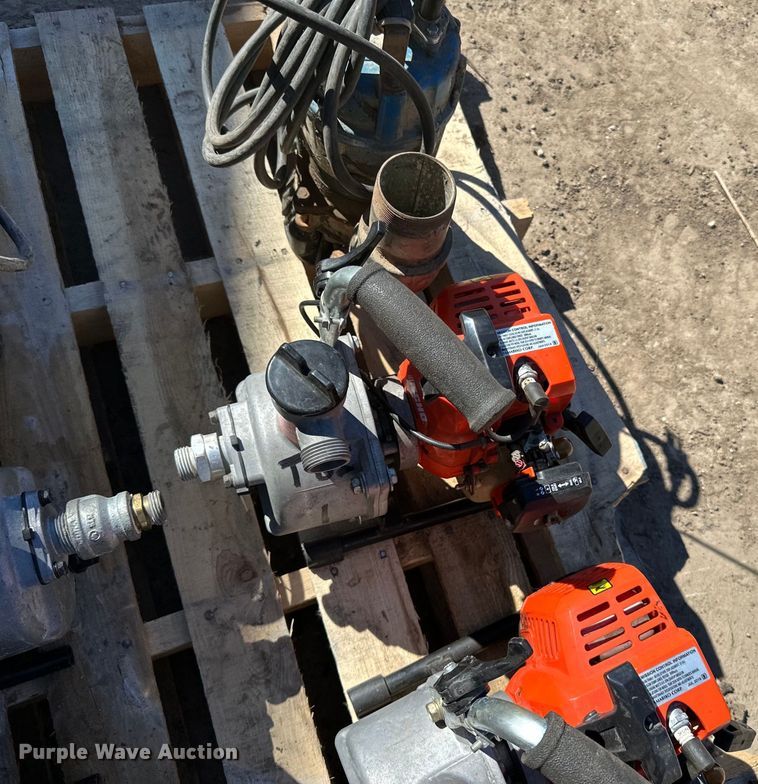 image for item DQ0717 (6) Pumps