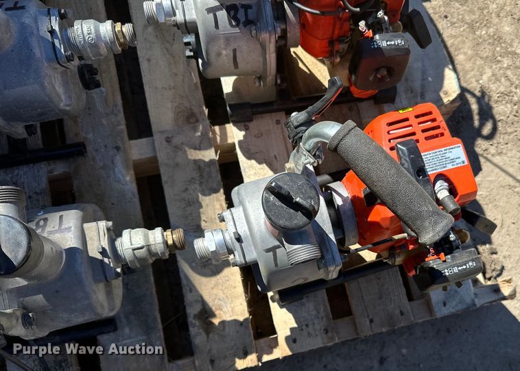 image for item DQ0717 (6) Pumps