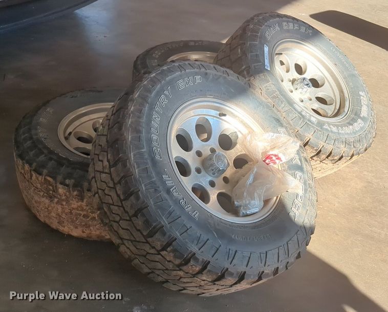 image for item NG9319 Dick Cepek 295/70R17 tires and wheels