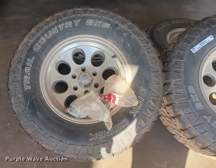 image for item NG9319 Dick Cepek 295/70R17 tires and wheels