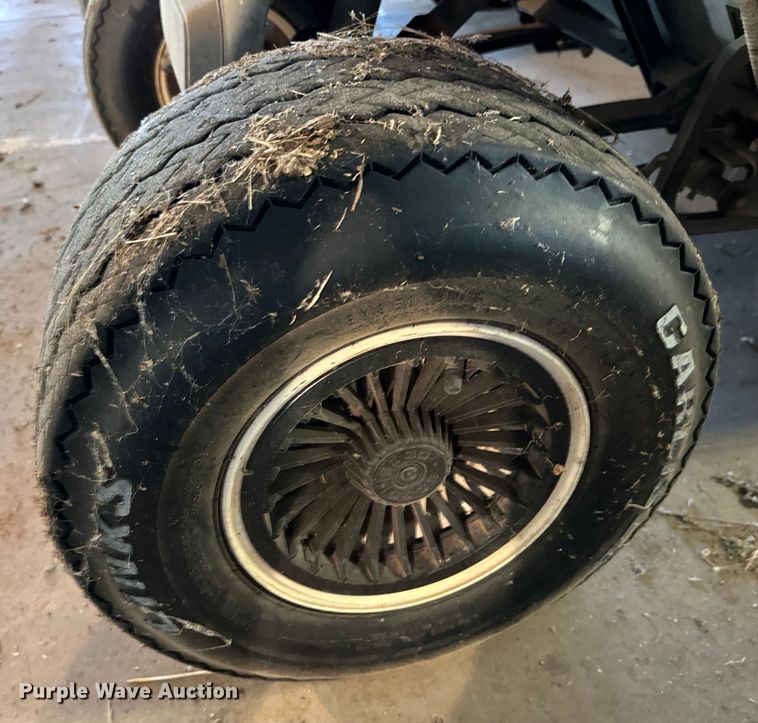 image for item DG4354 (4) EZ-GO golf carts